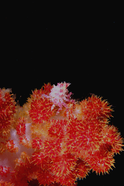 c0035399_23231999.jpg