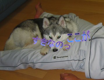 レオのふるさと（2）_f0112407_0325775.jpg