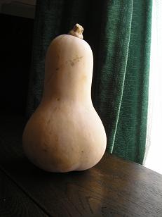 f0008510_1217244.jpg