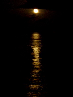 f0043911_24153.jpg
