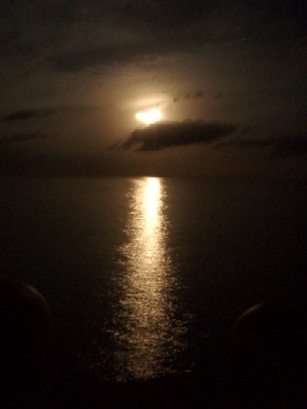 f0043911_26423.jpg