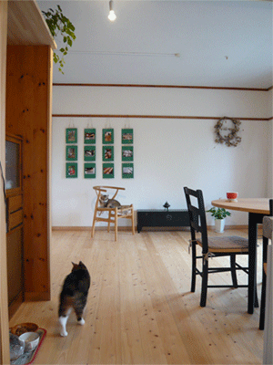 office＆showroom_c0022913_831818.gif