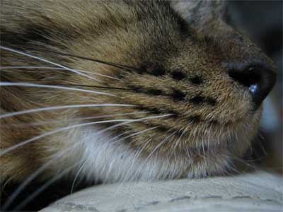f0038819_0155096.jpg