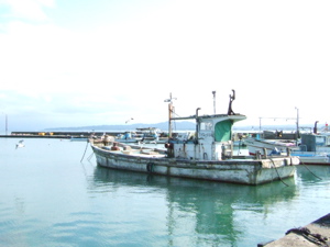b0074921_14312355.jpg