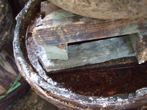b0074921_1514193.jpg