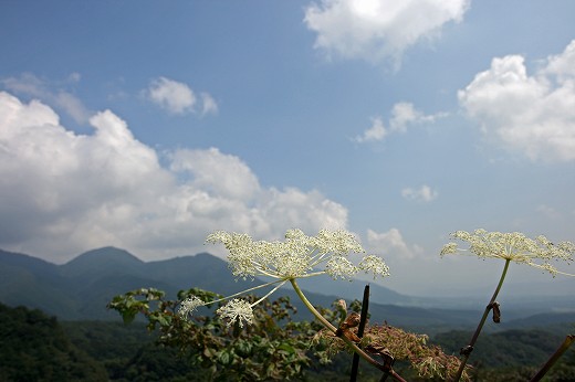 蒜山高原-Ⅱ_d0029333_02133.jpg