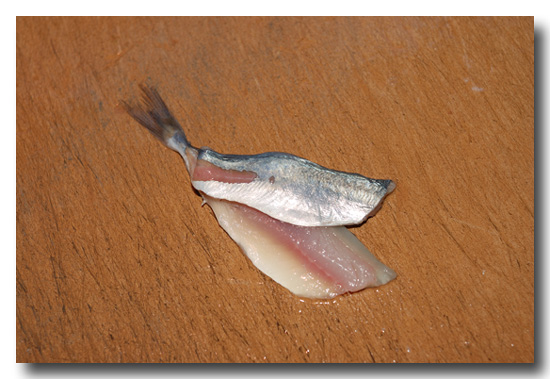 松葉おろし 小鯵やキス メゴチなどを天麩羅用に捌きます 魚屋三代目日記