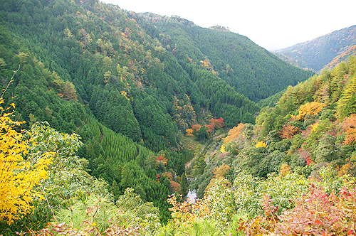 牡丹之旅‧第八日(上)高雄(神護寺、西明寺)→京都(三十三間堂)_c0073742_17753.jpg