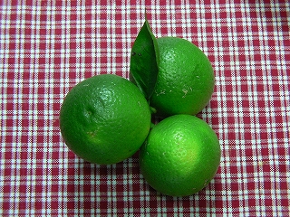 a0106043_0574331.jpg