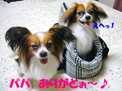 e0100046_213867.jpg