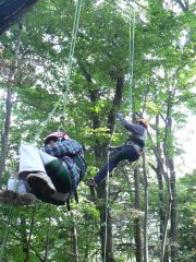 ツリークライミング体験記-わたしでも登れました!-_f0019247_0164139.jpg