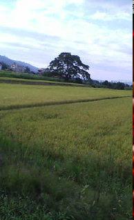 f0106647_2104964.jpg