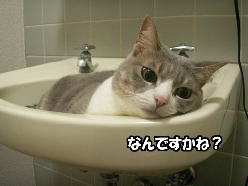 初秋の夜の出来事・・・_b0083267_23173016.jpg