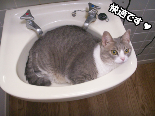 初秋の夜の出来事・・・_b0083267_23271470.jpg