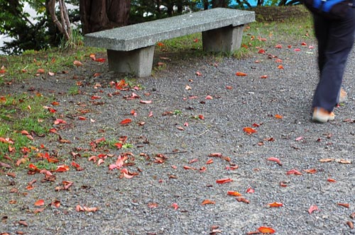 小樽公園散歩　　秋の足音が聞こえる_a0086387_0133872.jpg