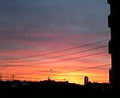c0018492_0243666.jpg