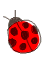 e0120402_23353871.gif