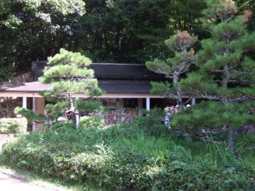 f0120102_9172835.jpg