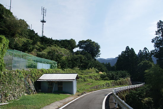 那賀町・四季美谷(2) _e0086106_7562476.jpg