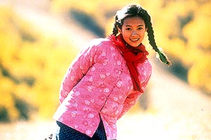 初恋のきた道 あゆみ日記