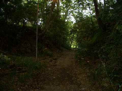 c0051112_23531584.jpg