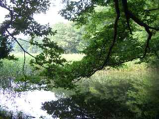 c0051112_9313517.jpg