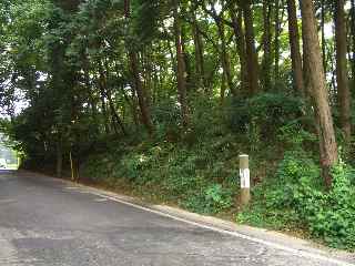 c0051112_93184.jpg
