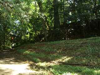 c0051112_933913.jpg