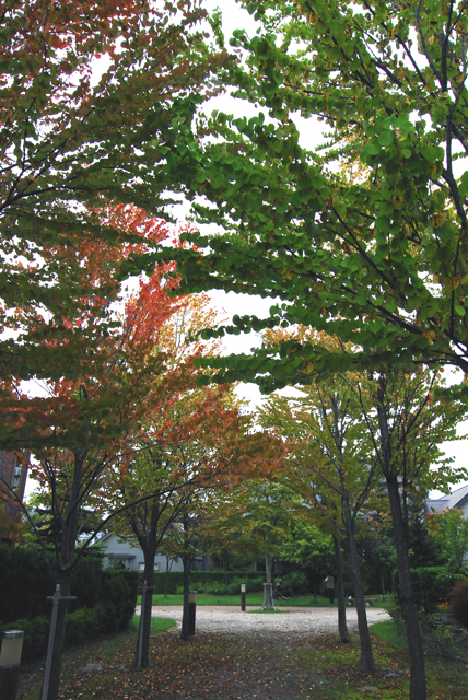 d0019422_942235.jpg