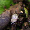 f0108133_8561352.jpg