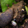 f0108133_8564781.jpg