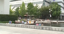 d0083265_1142888.jpg