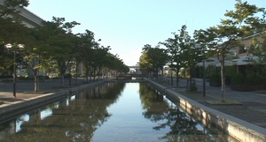 d0083265_1194742.jpg