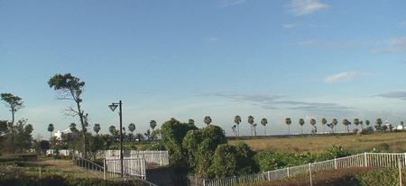 d0083265_16542026.jpg