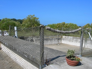 f0140171_18189.jpg