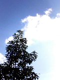 b0120173_18512572.jpg