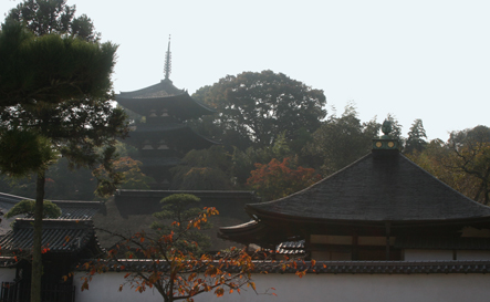 仏塔古寺十八尊　＜第８番　二上山　當麻寺西南院＞_a0045381_6393577.jpg