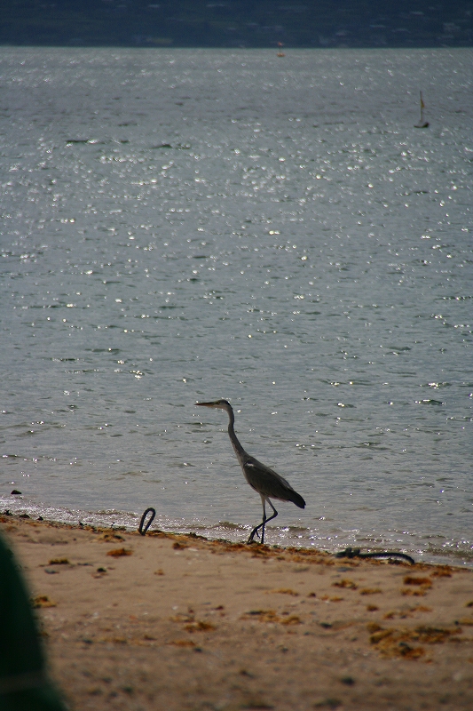 e0024081_14513376.jpg
