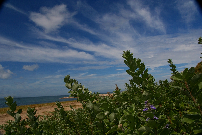e0024081_1452530.jpg