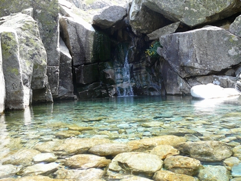 f0036481_81833.jpg