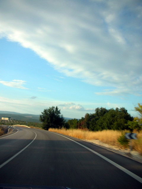 e0061699_85204.jpg