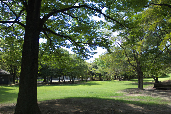 b0043304_2132091.jpg