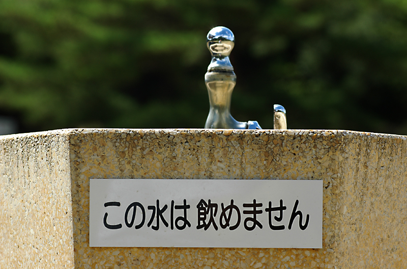 c0062418_22322215.jpg