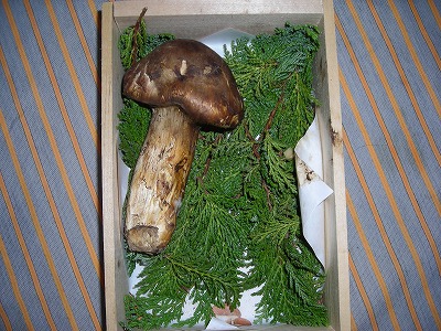 e0121418_9401157.jpg