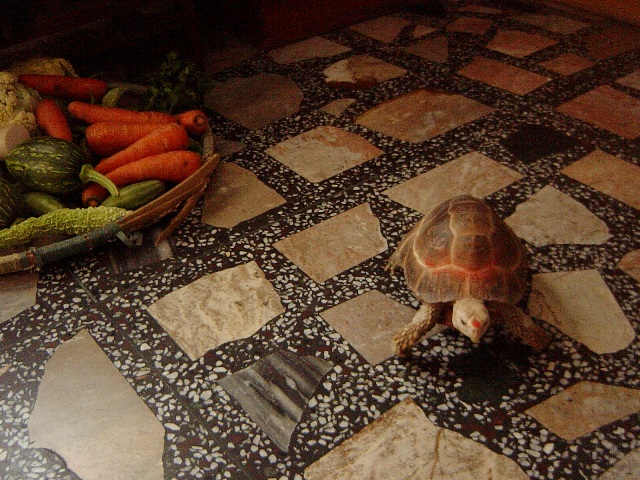 c0134522_1834655.jpg