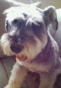 e0094325_15401513.jpg