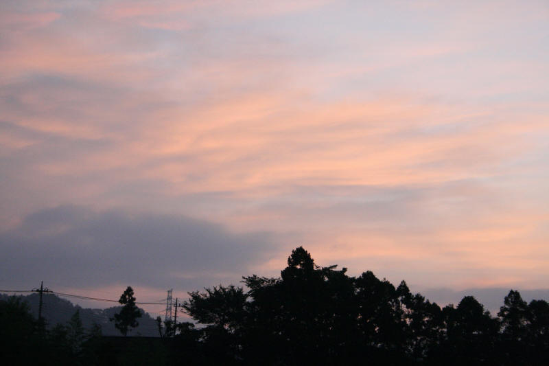 f0017530_92131.jpg