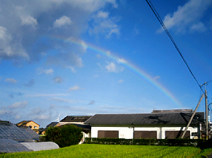 淡路島へ日帰り釣り旅行？・・・・訂正・食い意地旅行_d0017632_922121.jpg