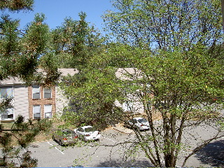 a0040739_47196.jpg