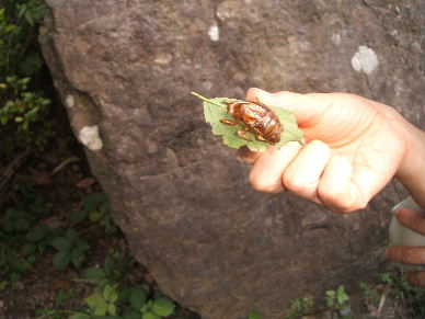 c0065744_23404168.jpg
